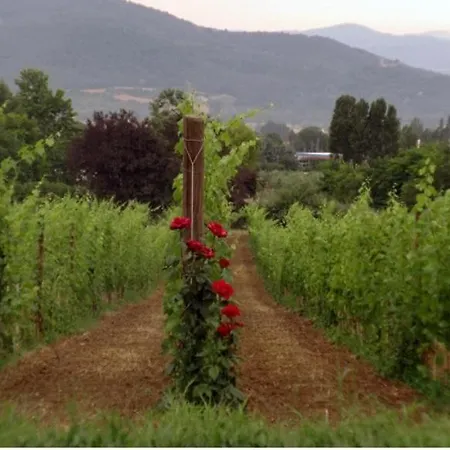 Apartment Il Fienile In